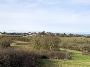 20260222 balade reihaguet 01