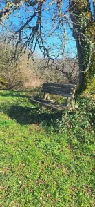 20260301 douzou franck 07