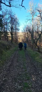 20260301 douzou franck 10